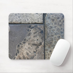 Tapis De Souris Michigan Petoskey Stone Design  Stone Coaster