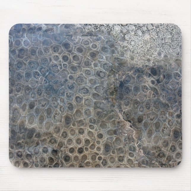 Tapis De Souris Michigan Petoskey Stone Motif (Devant)