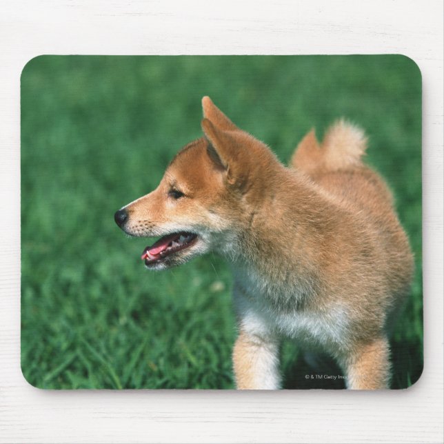 Tapis De Souris Midget Shiba japonais (Devant)