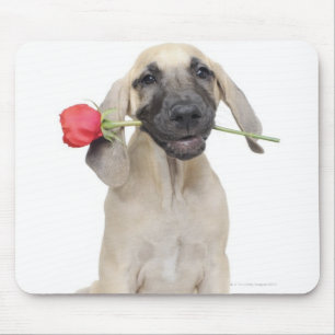 Tapis De Souris mignon, admiration, romance, amour,