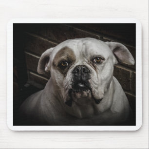 Tapis De Souris mignon Bulldog