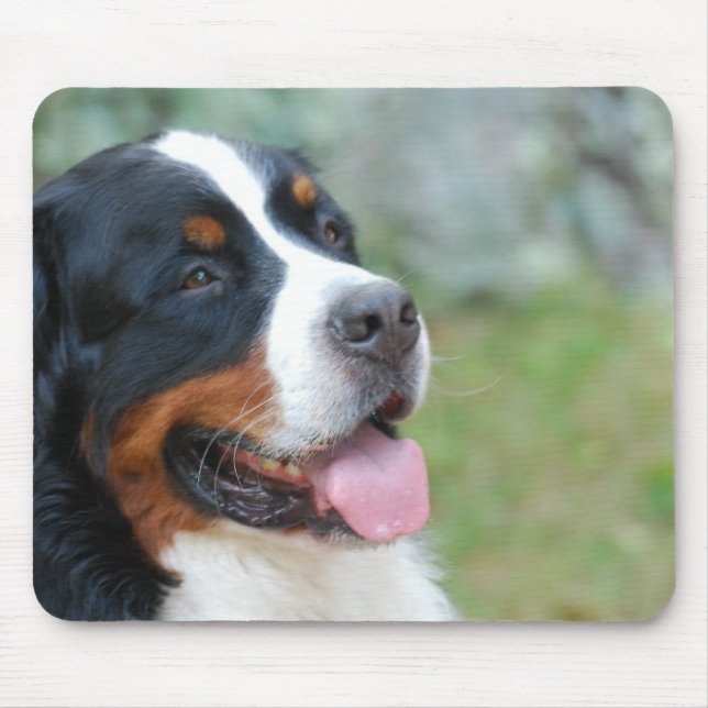 Tapis de souris mignon de Bernese (Devant)
