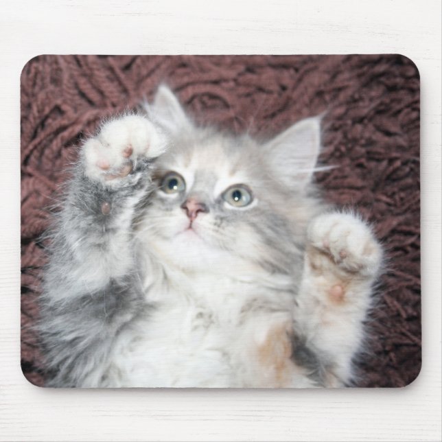 tapis de souris mignon de chaton (Devant)