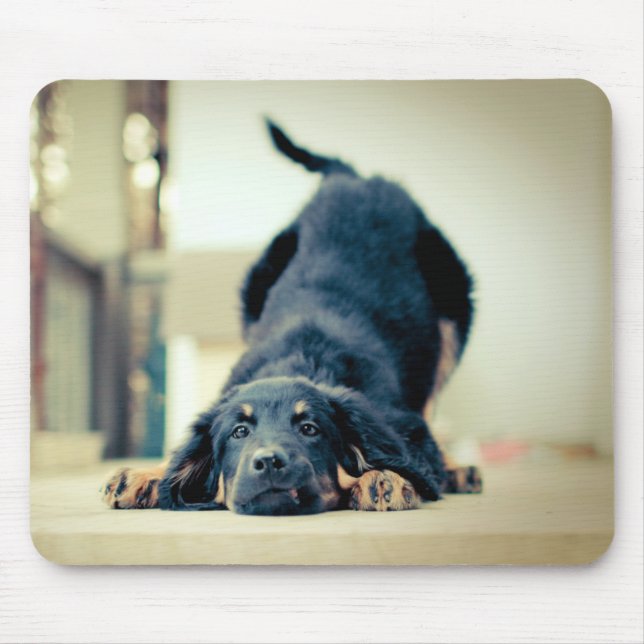 Tapis de souris mignon de chien (Devant)