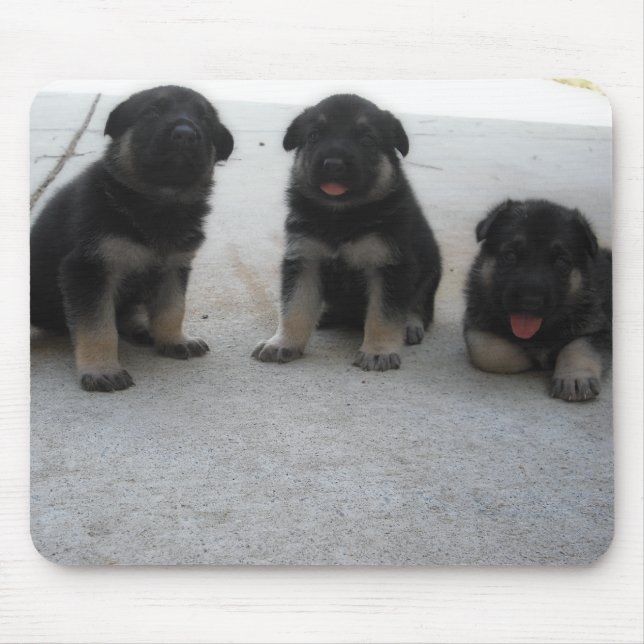 Tapis de souris mignon de chiot de berger allemand (Devant)