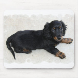 Tapis de souris mignon de Daschund