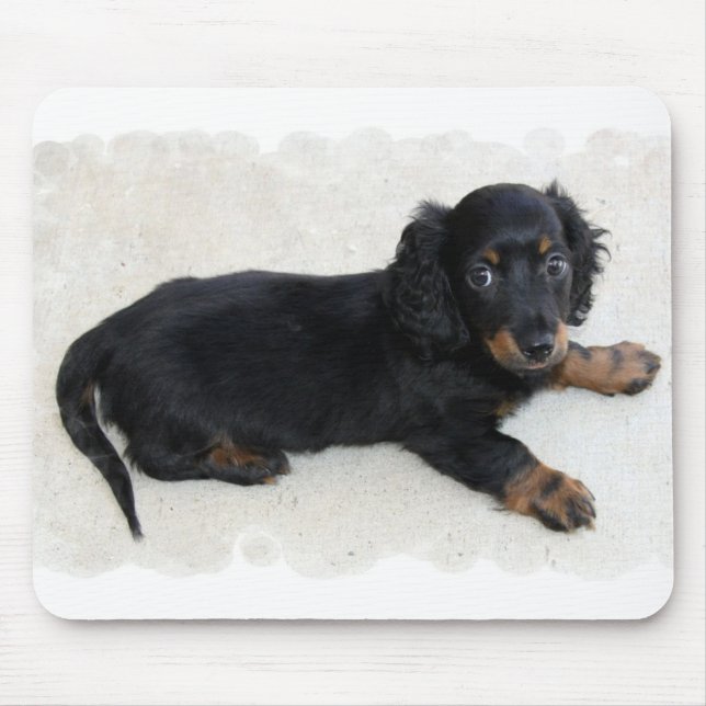Tapis de souris mignon de Daschund (Devant)