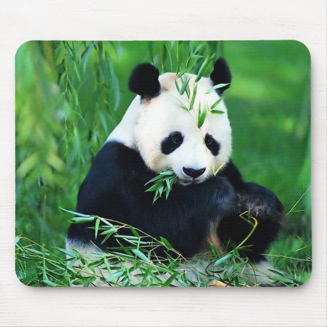 Tapis de souris mignon de panda (Devant)