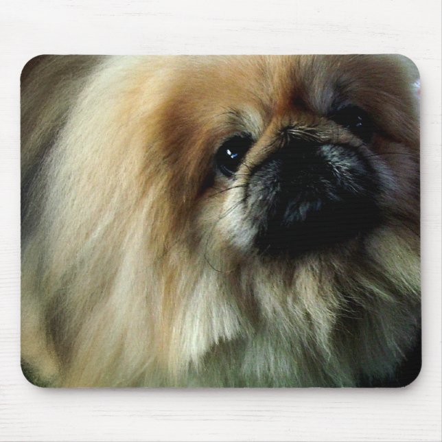 Tapis de souris mignon de Pekingese (Devant)