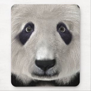 Tapis De Souris Mignon Ours Panda Kawaii Amoureux des Animaux Cade