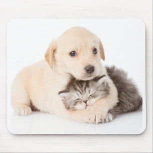 Tapis De Souris mignon petit chat dort dans les mains du chien