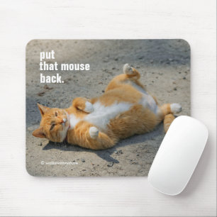 Tapis De Souris Mignonne Shadowboxing Orange Chat dans le Gravel