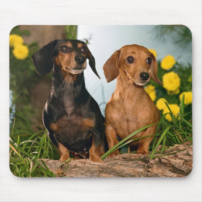 Tapis De Souris Mignons Amoureux de les chiens Wiener Doxin Puppy  (Devant)