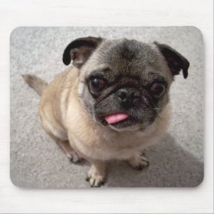 Tapis De Souris Mignons Carlins Chien Chien Cochettant La Langue D