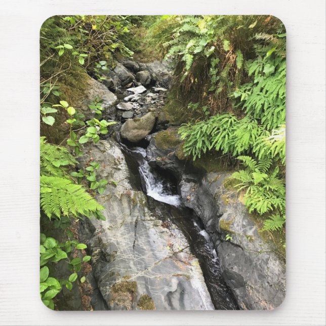 Tapis De Souris Miner Creek Samuel H. Boardman (Devant)