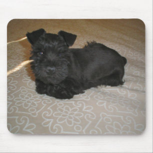 Tapis De Souris mini chiot de schnauzer