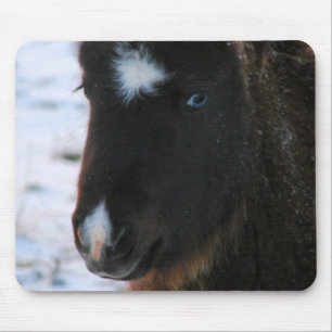 Tapis De Souris Mini Horse adorable Filly