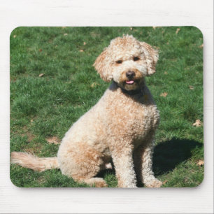 Tapis De Souris Mini mousepad de chiot de Goldendoodle