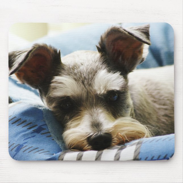 Tapis De Souris Mini Schnauzer de sel et de poivre (Devant)