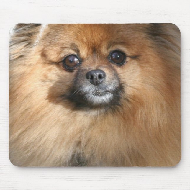 Tapis de souris miniature de Pomeranian (Devant)