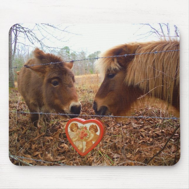 Tapis De Souris Miniature Donkey & Horse Valentine Heart (Devant)