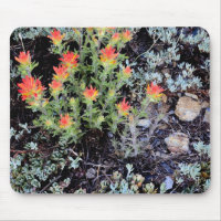 Miniature Garden at Gem Lake