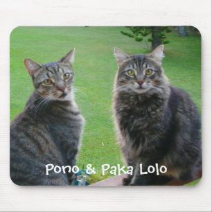 Tapis De Souris Minous Pono et Paka Lolo