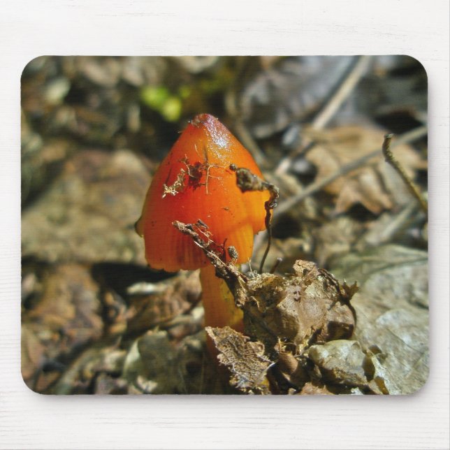 Tapis De Souris Minuscule Casquette de cône Amberina Mousepad (Devant)