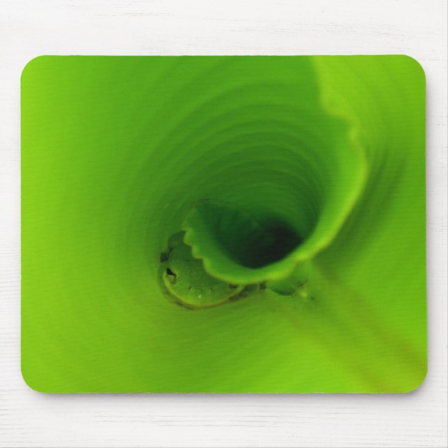 Tapis de souris minuscule de grenouille d'arbre (Devant)