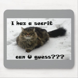 Tapis De Souris Mischievous Maine Coon in the snow
