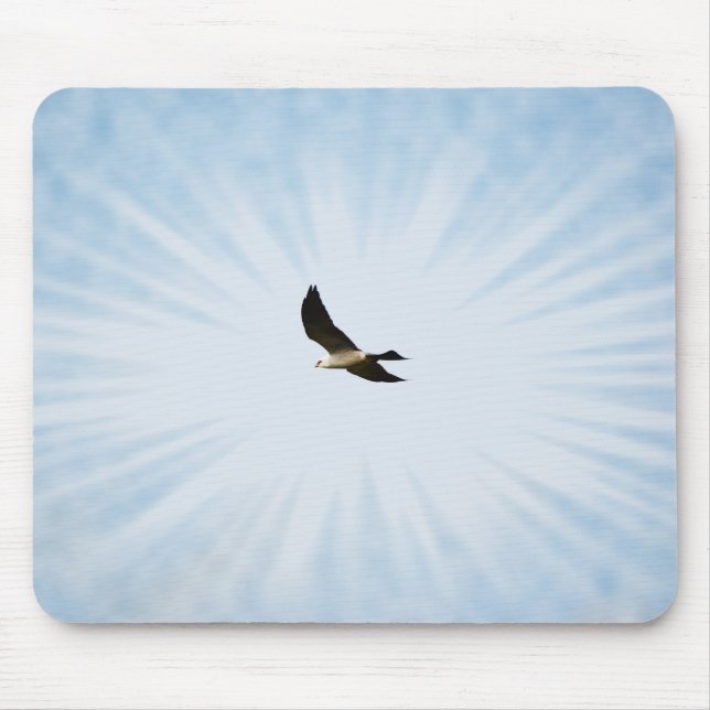 Tapis De Souris Mississippi Kite Hawk Bird Art Pad (Devant)