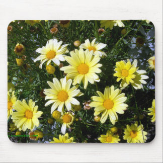 Tapis De Souris Misty (Agryranthemum)