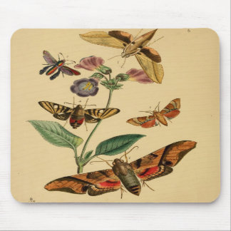 Tapis De Souris Mite vintage Mousepad