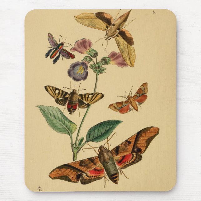 Tapis De Souris Mite vintage Mousepad (Devant)