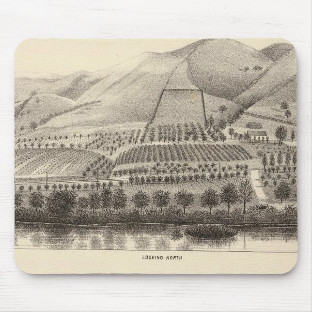 Tapis De Souris Mizzen Top Rancho (Devant)