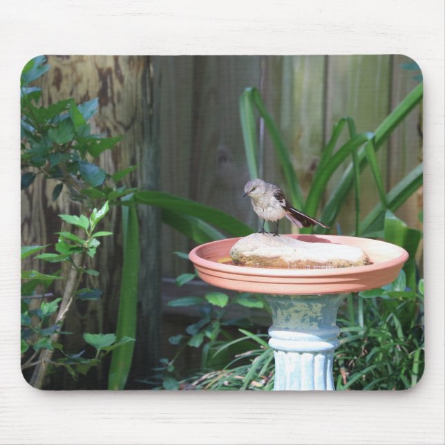 Tapis De Souris Mockingbird à Birdbath (Devant)