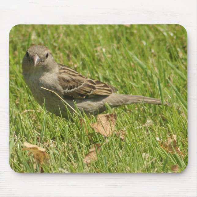 Tapis De Souris moineau (Devant)