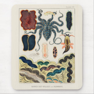 Tapis De Souris Mollusques et planariens de la Grande Barrière vin