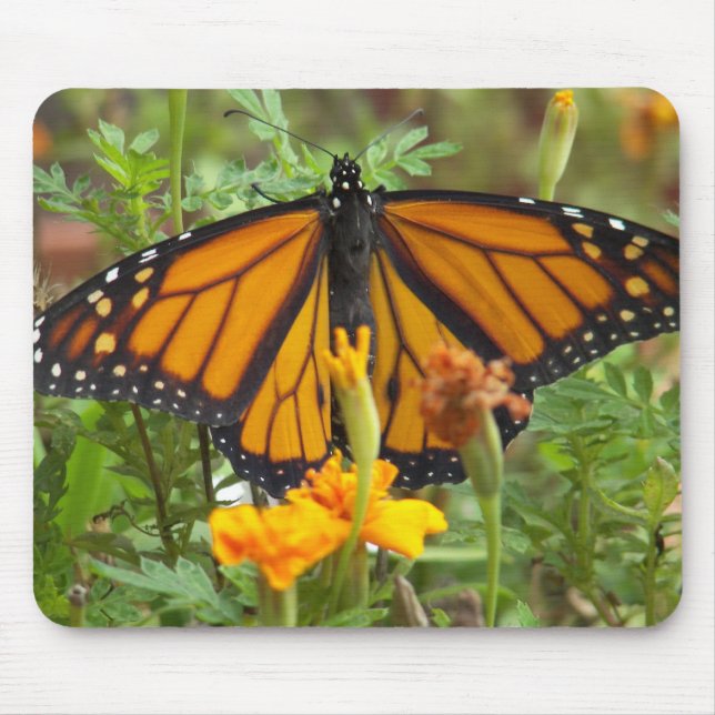 Tapis De Souris Mon papillon monarque mousepad (Devant)