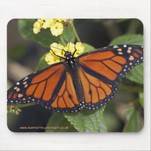 Tapis de souris Monarch