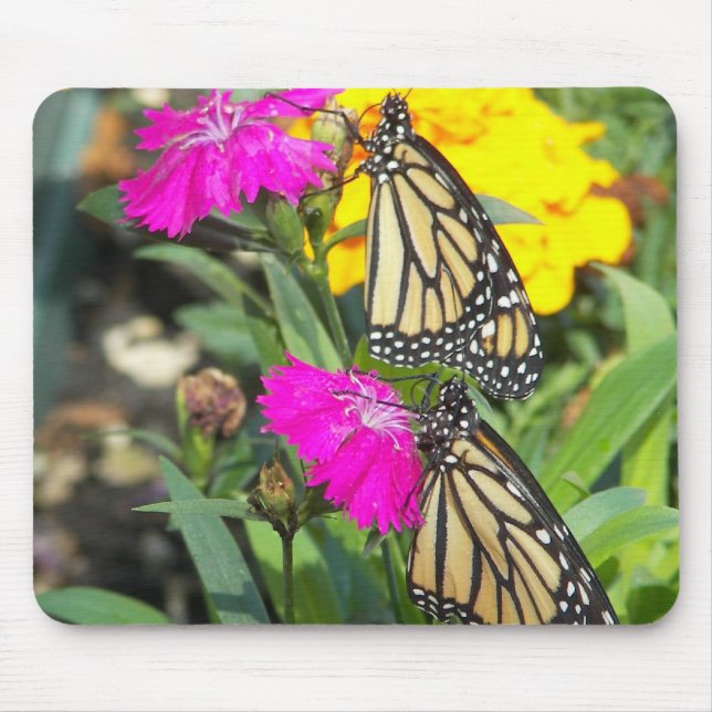Tapis De Souris Monarch Twins #2-mousepad (Devant)