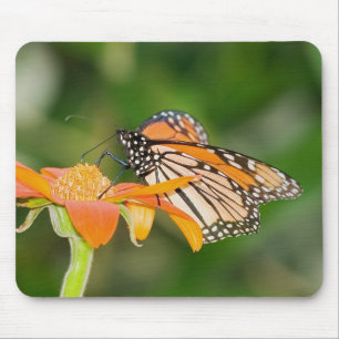 Tapis De Souris Monarque 3 Mousepad