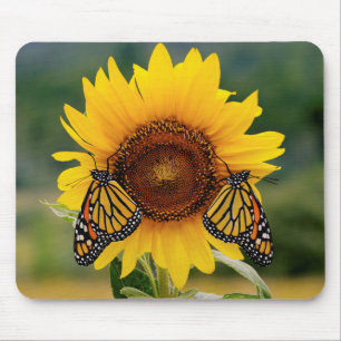 Tapis De Souris Monarque Butterfies sur le tournesol