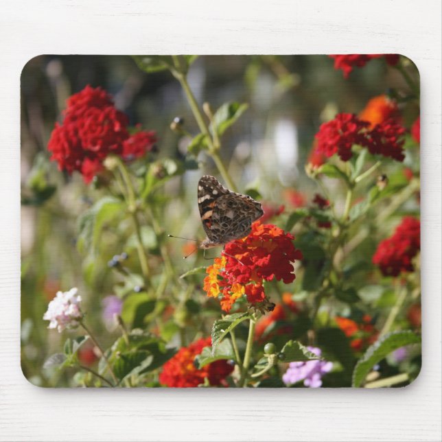 Tapis De Souris "Monarque" Mousepad (Devant)