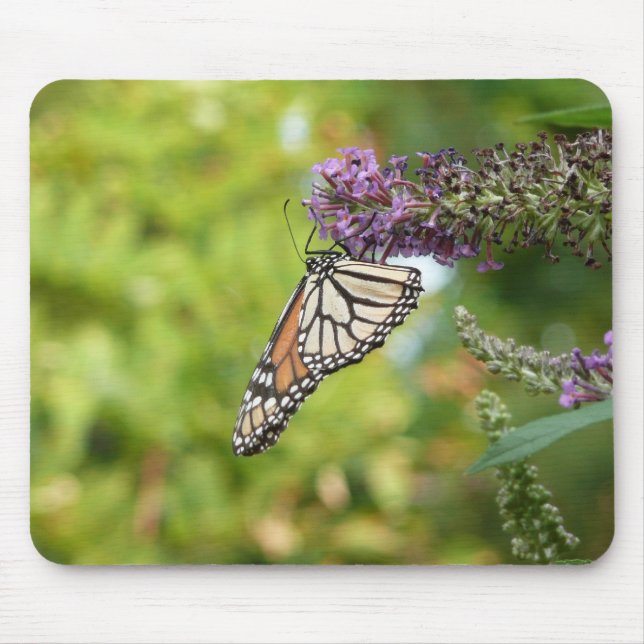 Tapis De Souris Monarque sur Buddleia (Devant)