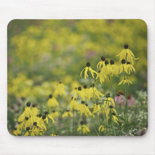 Tapis De Souris Monet_zazzle de coneflower de P2526a_yellow (Devant)