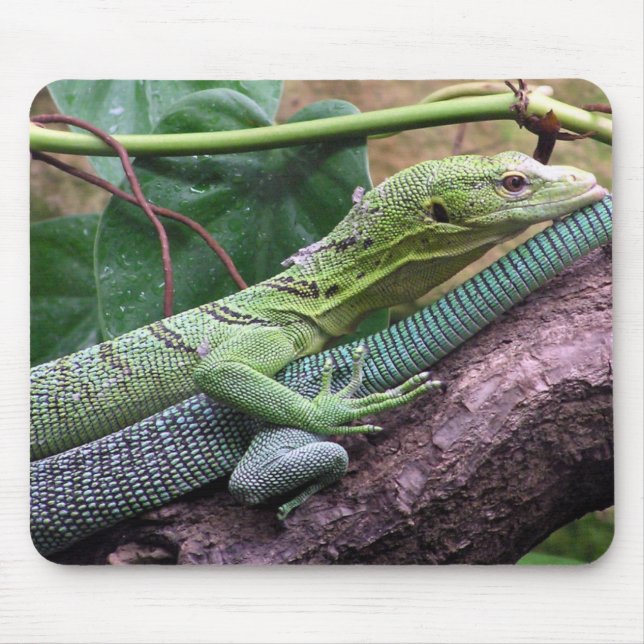 Tapis De Souris Moniteur vert d'arbre - prasinus de Varanus (Devant)