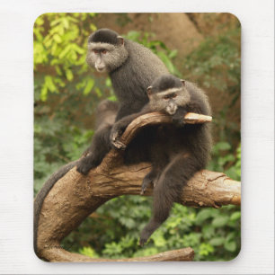 Tapis De Souris Monkey Mousepad
