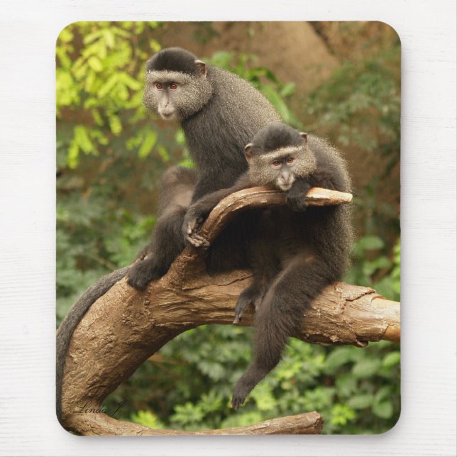 Tapis De Souris Monkey Mousepad (Devant)