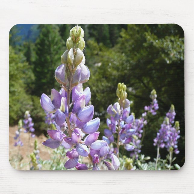 Tapis De Souris Mont Lupins (Devant)